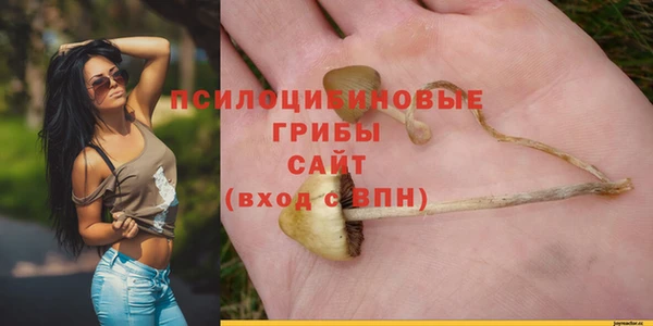 трава Абдулино