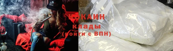 ПСИЛОЦИБИНОВЫЕ ГРИБЫ Абаза