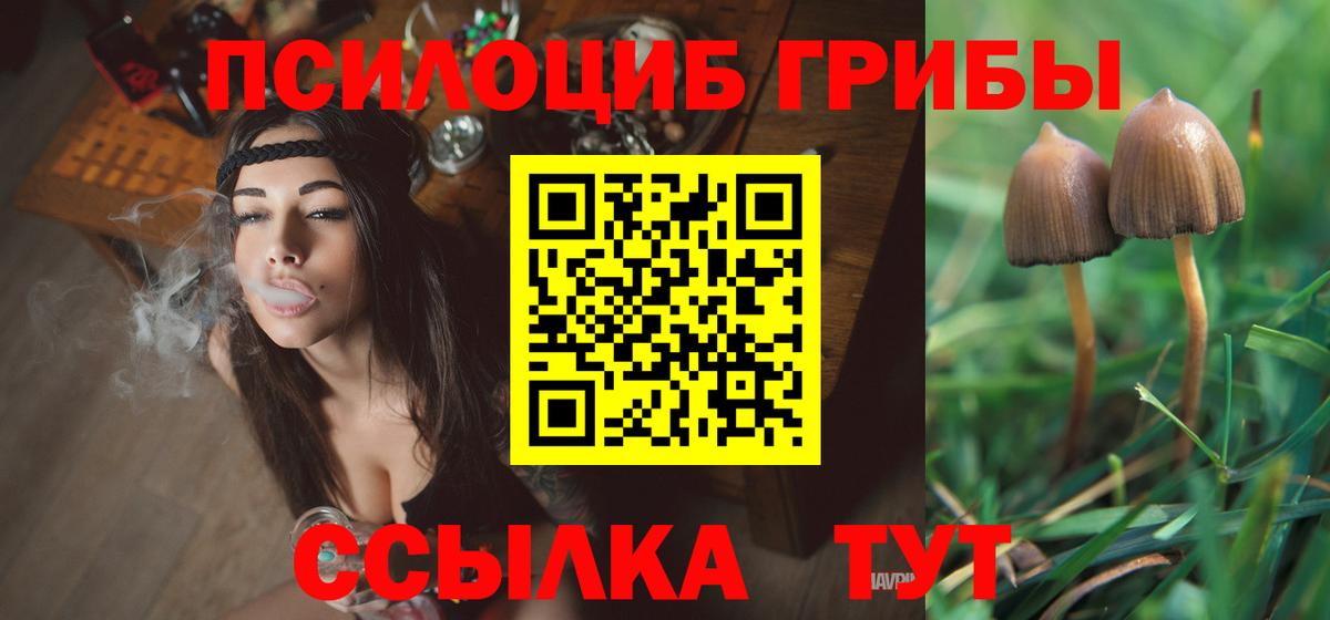 Галлюциногенные грибы Psilocybine cubensis Оренбург