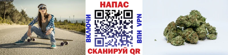 цена   Оренбург  Канабис VHQ 